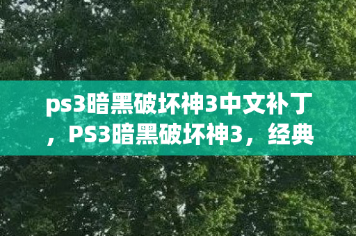 ps3暗黑破坏神3中文补丁,PS3暗黑破坏神3,经典续作的中文之旅 ps3暗黑破坏神3中文补丁,PS3暗黑破坏神3,经典续作的中文之旅