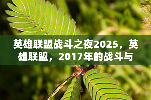 英雄联盟战斗之夜2025图片