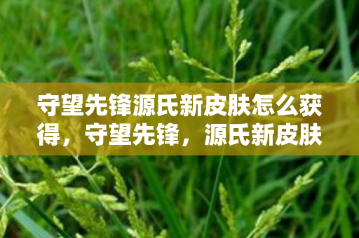 守望先锋源氏新皮肤怎么获得图片