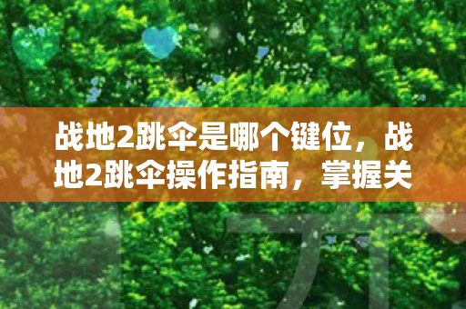 战地2跳伞是哪个键位图片