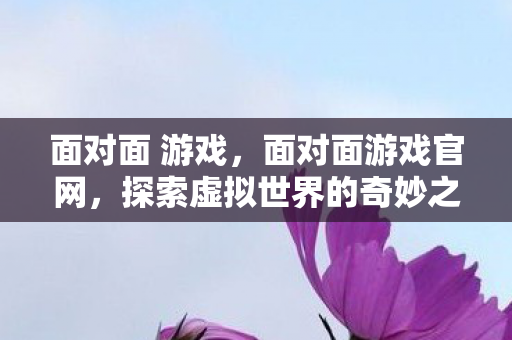 探索虚拟世界的奇妙之旅图片