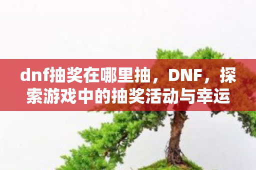 dnf抽奖在哪里抽，DNF，探索游戏中的抽奖活动与幸运之地
