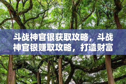 斗战神官银获取攻略，斗战神官银赚取攻略，打造财富之路
