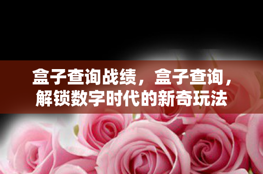 盒子查询战绩,盒子查询,解锁数字时代的新奇玩法 盒子查询战绩,盒子查询,解锁数字时代的新奇玩法