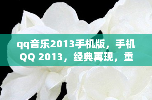 qq音乐2013手机版，手机QQ 2013，经典再现，重温那些年我们的青春