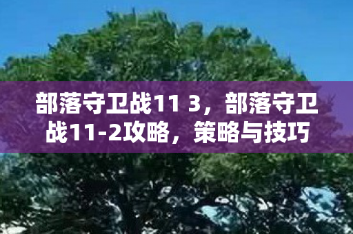 策略与技巧的全面解析图片
