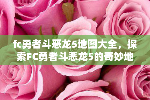 fc勇者斗恶龙5地图大全，探索FC勇者斗恶龙5的奇妙地图