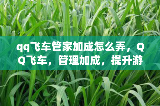 qq飞车管家加成怎么弄,QQ飞车,管理加成,提升游戏体验的秘诀 qq飞车管家加成怎么弄,QQ飞车,管理加成,提升游戏体验的秘诀