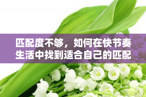 匹配度不够，如何在快节奏生活中找到适合自己的匹配