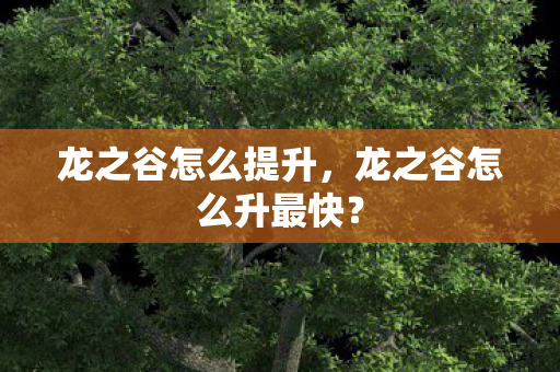 龙之谷怎么提升，龙之谷怎么升最快？
