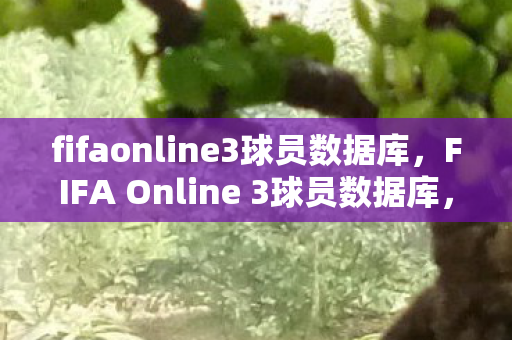 fifaonline3球员数据库，FIFA Online 3球员数据库，探索虚拟足球世界的无限可能