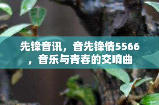 音乐与青春的交响曲图片