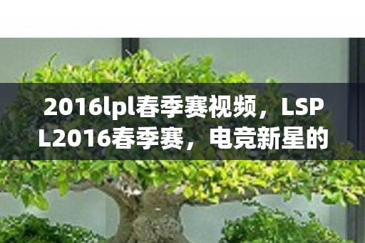 2016lpl春季赛视频，LSPL2016春季赛，电竞新星的崛起与荣耀