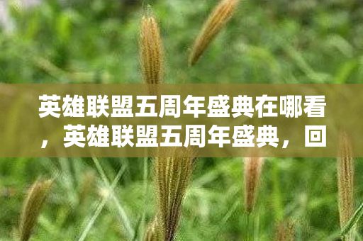 英雄联盟五周年盛典在哪看，英雄联盟五周年盛典，回忆与未来的交响曲