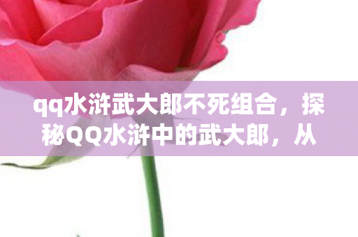 qq水浒武大郎不死组合，探秘QQ水浒中的武大郎，从文学到游戏的跨界之旅