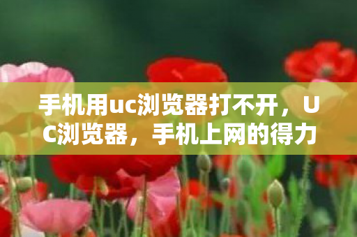手机用uc浏览器打不开，UC浏览器，手机上网的得力助手