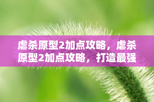 虐杀原型2加点攻略，虐杀原型2加点攻略，打造最强主角的秘诀
