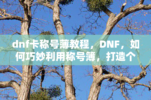 dnf卡称号薄教程，DNF，如何巧妙利用称号簿，打造个性化角色！