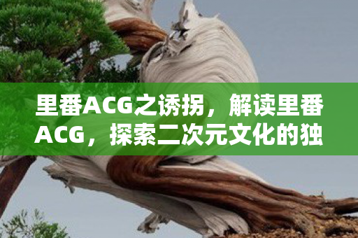 里番ACG之诱拐,解读里番ACG,探索二次元文化的独特魅力 里番ACG之诱拐,解读里番ACG,探索二次元文化的独特魅力