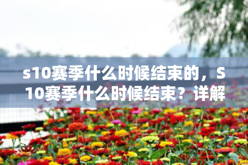 s10赛季什么时候结束的图片