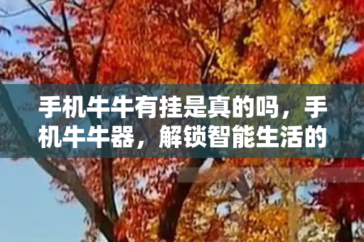 解锁智能生活的神秘钥匙图片