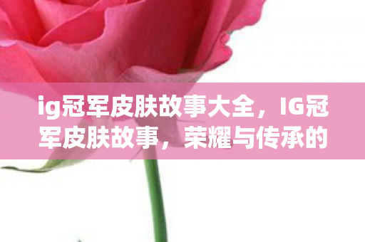ig冠军皮肤故事大全图片