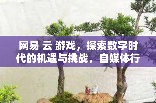 自媒体行业的崛起与未来展望图片