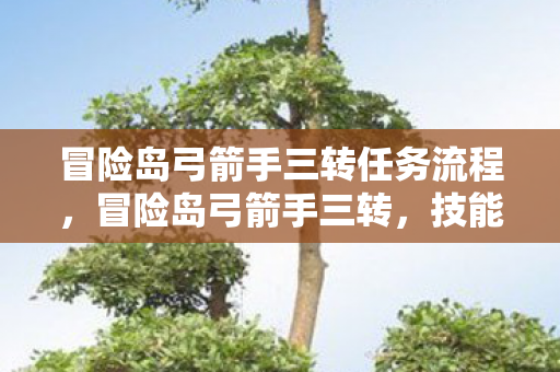 冒险岛弓箭手三转任务流程，冒险岛弓箭手三转，技能进阶与成长之路