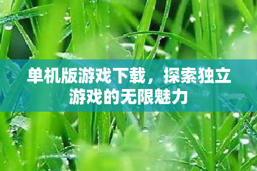 单机版游戏下载，探索独立游戏的无限魅力