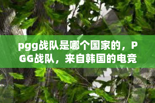 pgg战队是哪个国家的，PGG战队，来自韩国的电竞新星