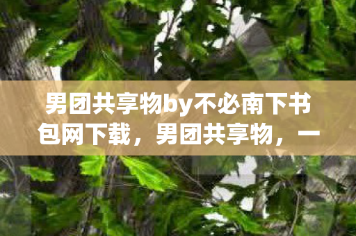 男团共享物by不必南下书包网下载，男团共享物，一场关于青春与梦想的盛宴
