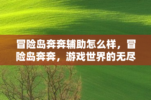 冒险岛奔奔辅助怎么样，冒险岛奔奔，游戏世界的无尽探险之旅