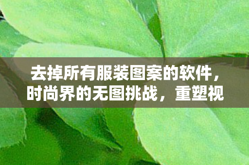 去掉所有服装图案的软件，时尚界的无图挑战，重塑视觉叙事