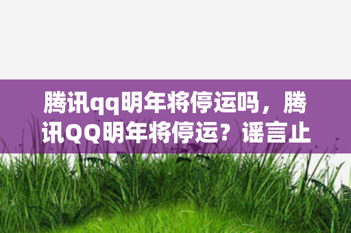 腾讯qq明年将停运吗，腾讯QQ明年将停运？谣言止于智者，真相在此！