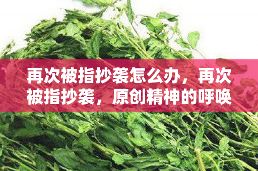 再次被指抄袭怎么办，再次被指抄袭，原创精神的呼唤与反思