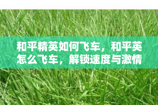 解锁速度与激情的终极技巧图片