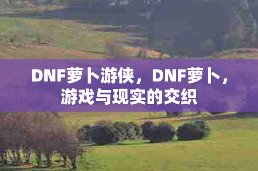 DNF萝卜游侠，DNF萝卜，游戏与现实的交织