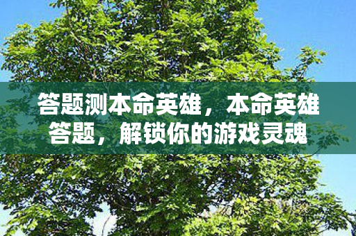 答题测本命英雄，本命英雄答题，解锁你的游戏灵魂