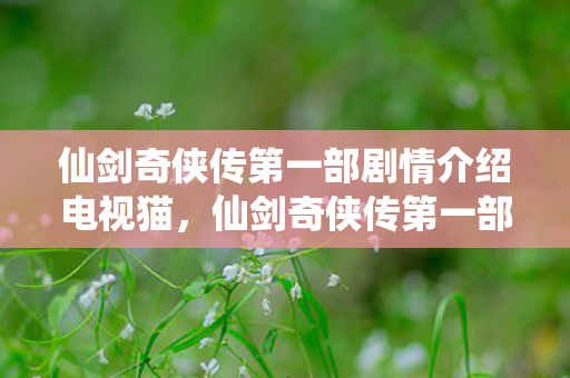 仙剑奇侠传第一部剧情介绍电视猫，仙剑奇侠传第一部，跨越千年的爱恨情仇