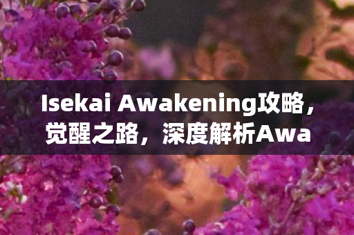 Isekai Awakening攻略，觉醒之路，深度解析Awakening游戏攻略