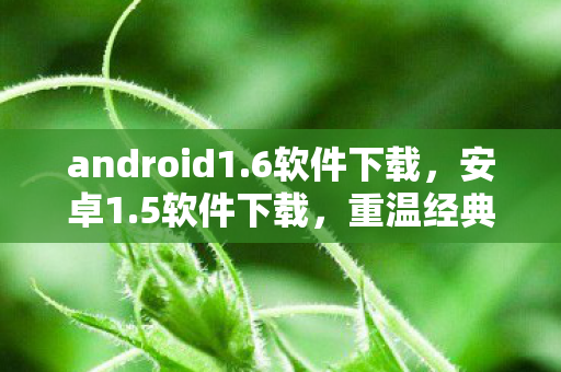 android1.6软件下载，安卓1.5软件下载，重温经典，探索旧时光的软件宝库
