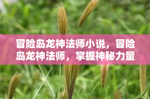 冒险岛龙神法师小说，冒险岛龙神法师，掌握神秘力量的传奇人物