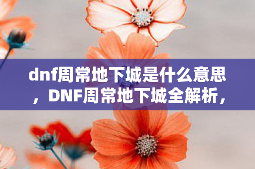 dnf周常地下城是什么意思，DNF周常地下城全解析，挑战与奖励的完美结合