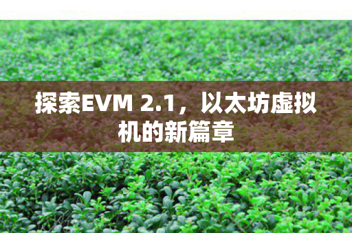 探索EVM 2.1，以太坊虚拟机的新篇章