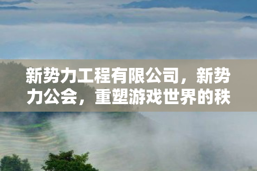 新势力工程有限公司,新势力公会,重塑游戏世界的秩序 新势力工程有限公司,新势力公会,重塑游戏世界的秩序