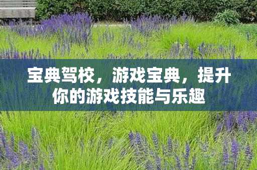 宝典驾校,游戏宝典,提升你的游戏技能与乐趣 宝典驾校,游戏宝典,提升你的游戏技能与乐趣