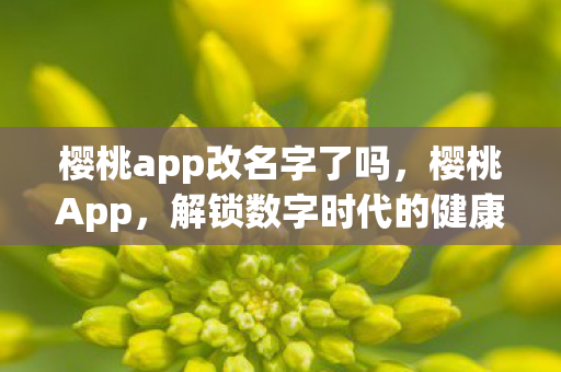 解锁数字时代的健康生活新方式图片