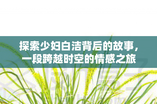 探索少妇白洁背后的故事图片