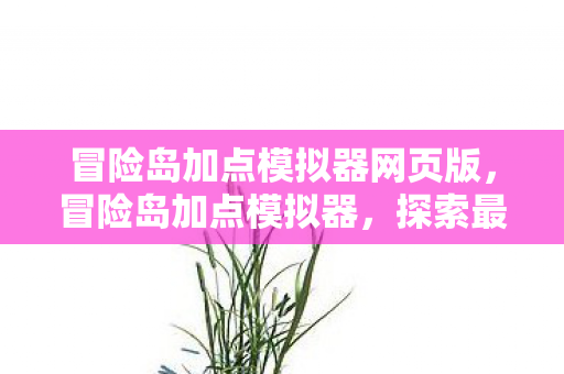 冒险岛加点模拟器网页版，冒险岛加点模拟器，探索最佳属性分配策略