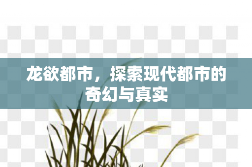 龙欲都市，探索现代都市的奇幻与真实